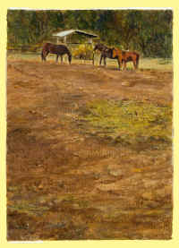 Interno del maneggio Madama Reining Horses.