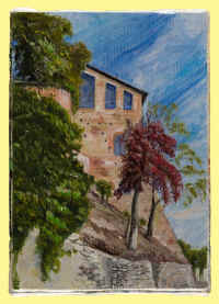 Vegetazione e scorcio del castello Visconteo.